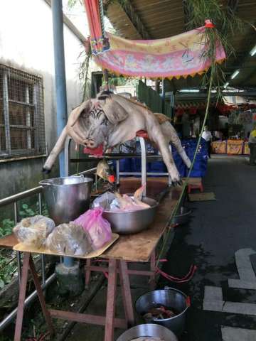 update_img